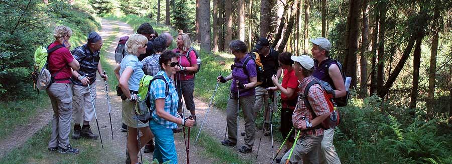 NORDIC WALKING IN DIE JAHRESZEITEN FRÜHLING / SOMMER / HERBST und WINTER