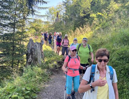 Berge 2023 Oberjoch Naturwanderung