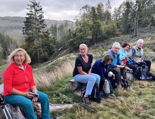 Nordic-Walking im Herbst 2023