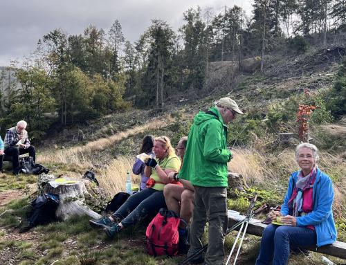 Nordic-Walking im Herbst 2023