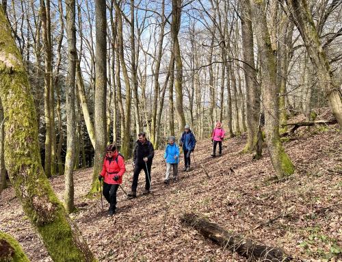Nordic Walking im Frühling 2022