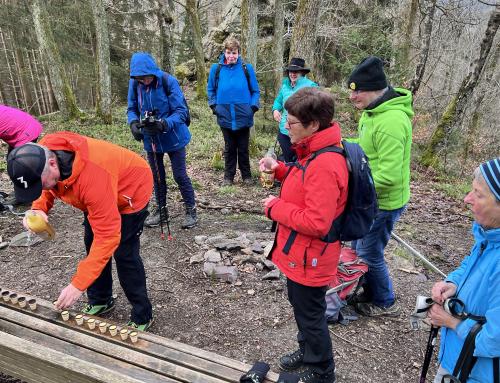 Nordic Walking im Frühling 2022