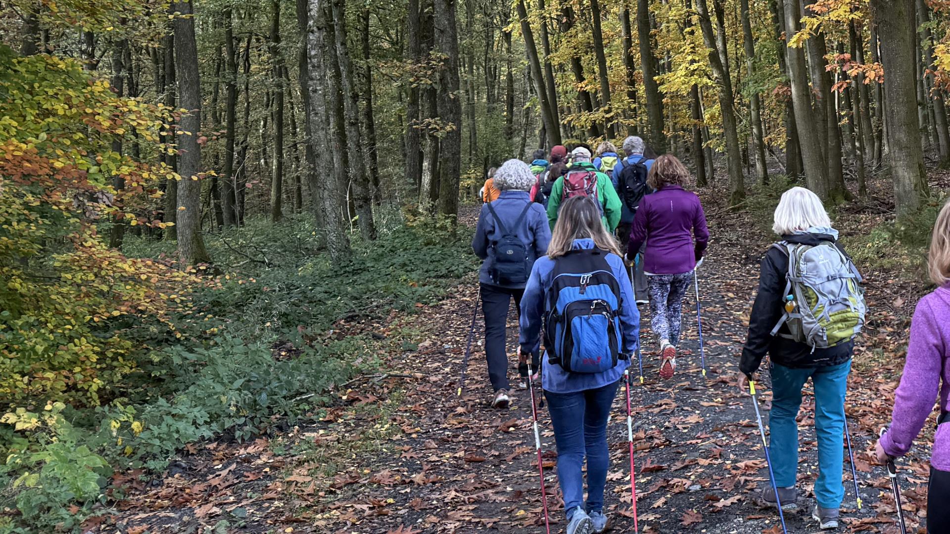 Nordic Walking Siegen     